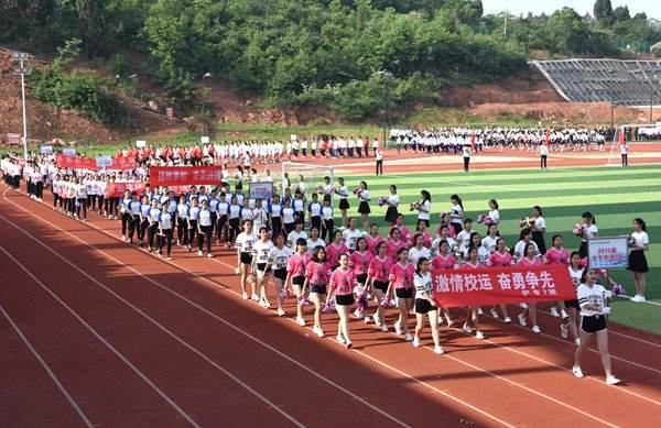 四川護理職業學院網站網址