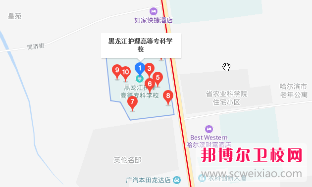 黑龍江護理高等專科學校地址在哪里