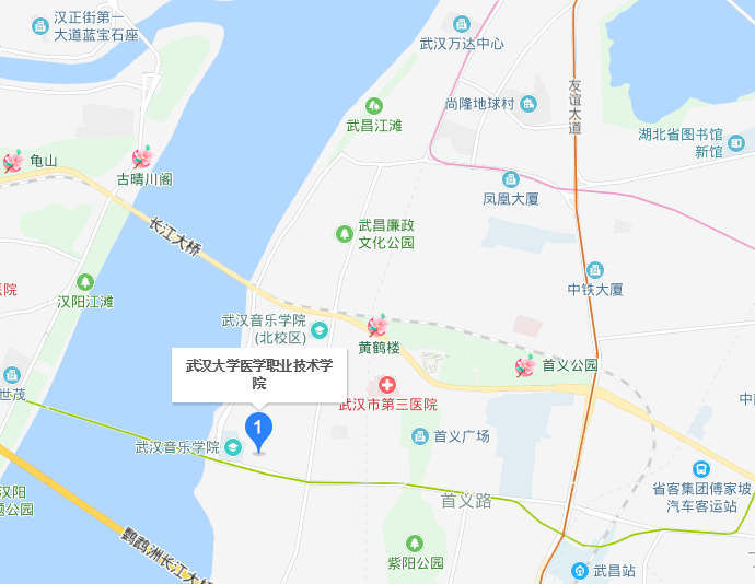 武漢大學醫(yī)學職業(yè)技術學院2019年地址在哪里