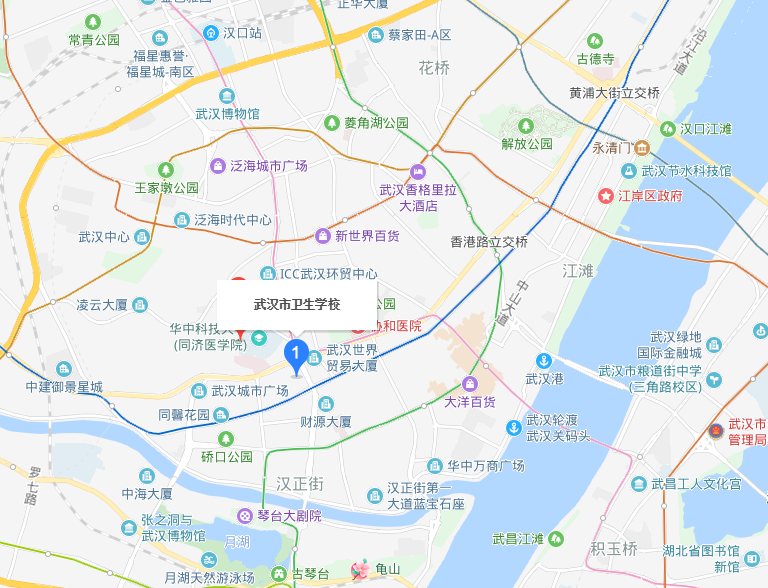 武漢市衛生學校2019年地址在哪里