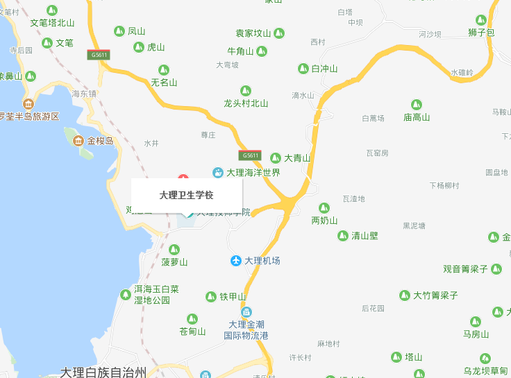 大理衛生學校地址在哪里