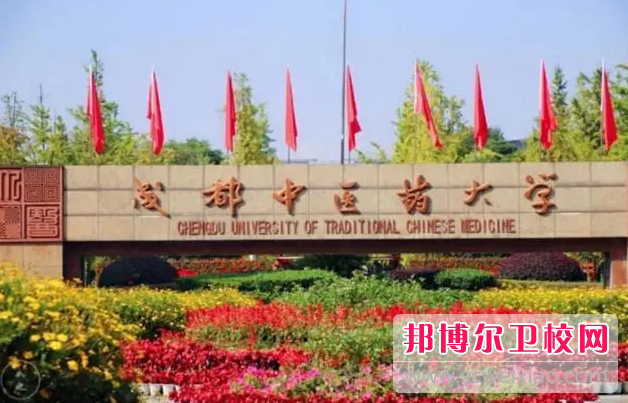 2023年成都中醫藥大學學什么專業內容