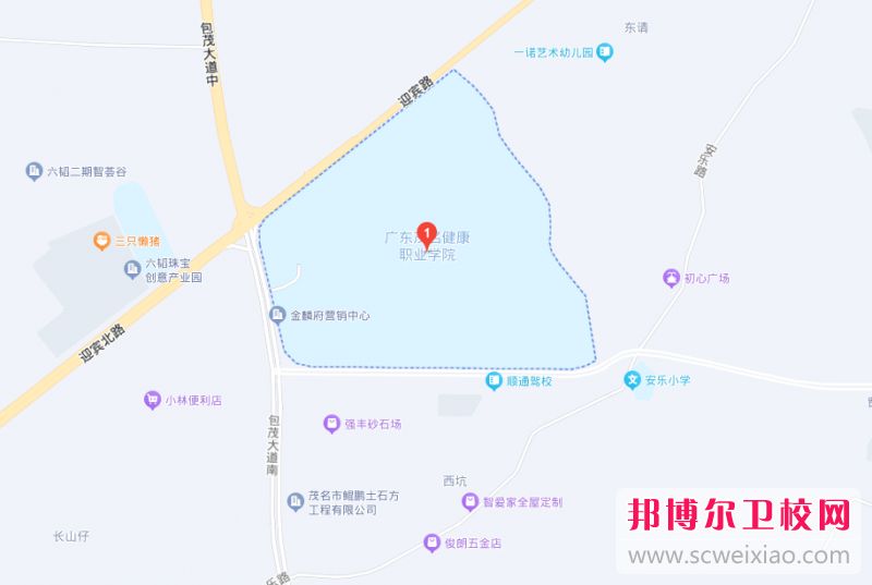 廣東茂名健康職業學院地址在哪里，哪個地區，哪個城市?