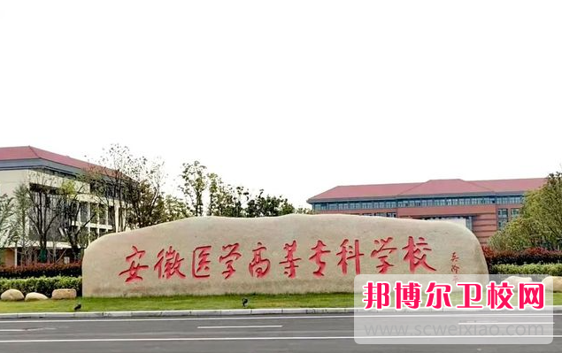 2023合肥公辦衛生學校有哪些 合肥公辦衛生學校名單一覽表