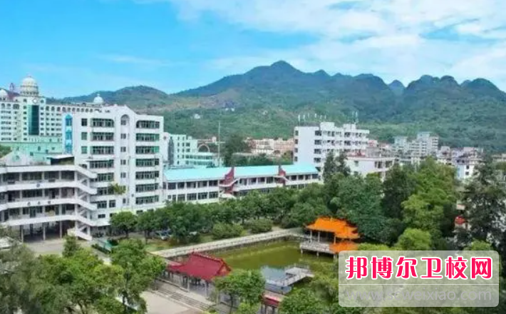 2023廣東省連州衛(wèi)生學校有哪些專業(yè) 廣東省連州衛(wèi)生學校開設的專業(yè)一覽表