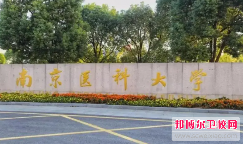 2023南京公辦口腔醫學學校有哪些 南京公辦口腔醫學學校名單一覽表