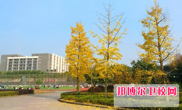 2023成都臨床醫學學校有哪些 成都臨床醫學學校名單一覽表