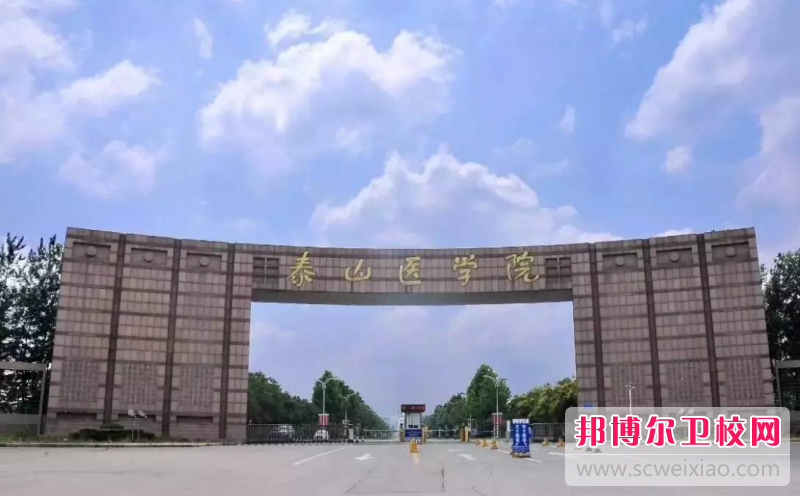 2023泰安公辦臨床醫學學校有哪些 泰安公辦臨床醫學學校名單一覽表