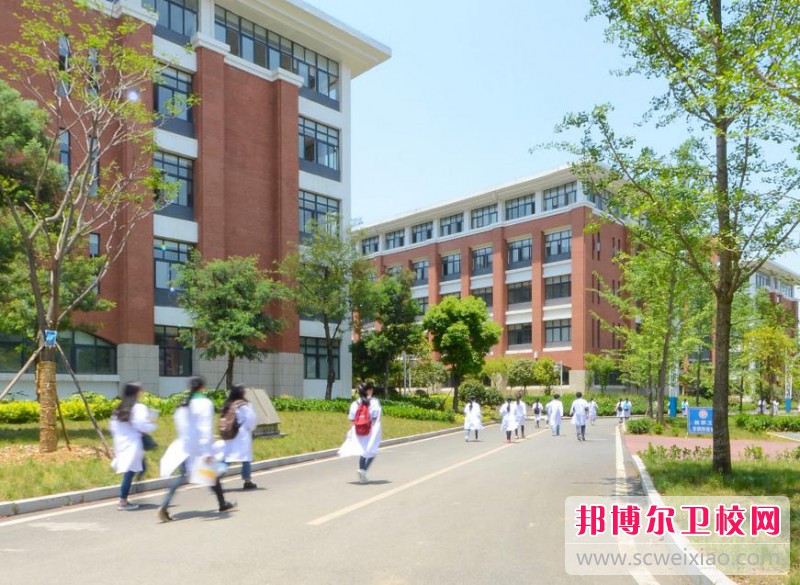 陜西2024年有護理學校的大專大學